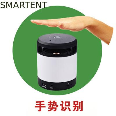 Kopen Bewegingsherkenning Bluetooth dat de Sprekerscilinder wandelt van Sprekers Navulbare Bluetooth online vervaardiging
