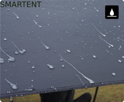 530*390CM Zwart 420D Ripstop Polyester Tesla Camping Tent Lichtgewicht Auto Canopy Rainfly Side Awing Voor Model Y&amp;3 leverancier