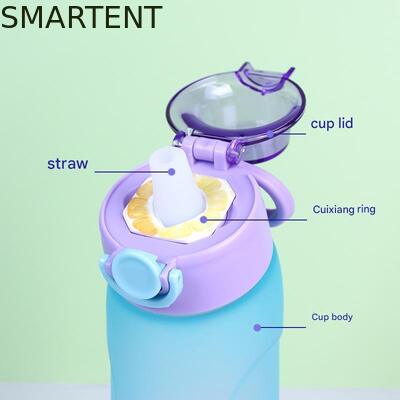 Eco-Friendly BPA Free Fragrance Ring 700ML Workout Water Bottles With Straw And Durable For Your Business Demands leverancier
