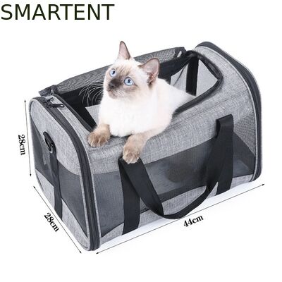 Kopen Grote schattig huisdier benodigdheden Unisex Indoor Outdoor Gear voor actieve huisdieren met comfortabele kragen Riemen en dragers online vervaardiging