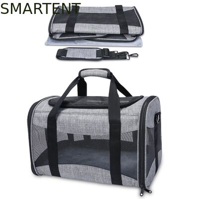 Large Cute Pet Supplies Unisex Indoor Outdoor Gear for Active Pets Featuring Comfortable Collars Leashes and Carriers leverancier