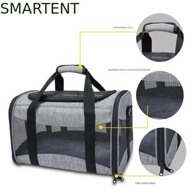 Large Cute Pet Supplies Unisex Indoor Outdoor Gear for Active Pets Featuring Comfortable Collars Leashes and Carriers leverancier