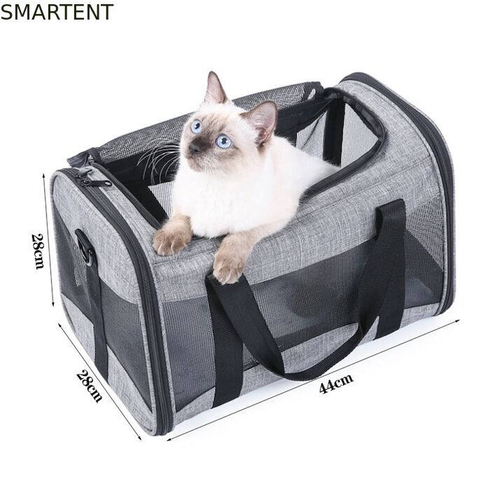 Large Cute Pet Supplies Unisex Indoor Outdoor Gear for Active Pets Featuring Comfortable Collars Leashes and Carriers leverancier